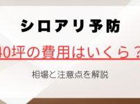 40坪のシロアリ予防費用はどれくらい？相場と注意点を解説