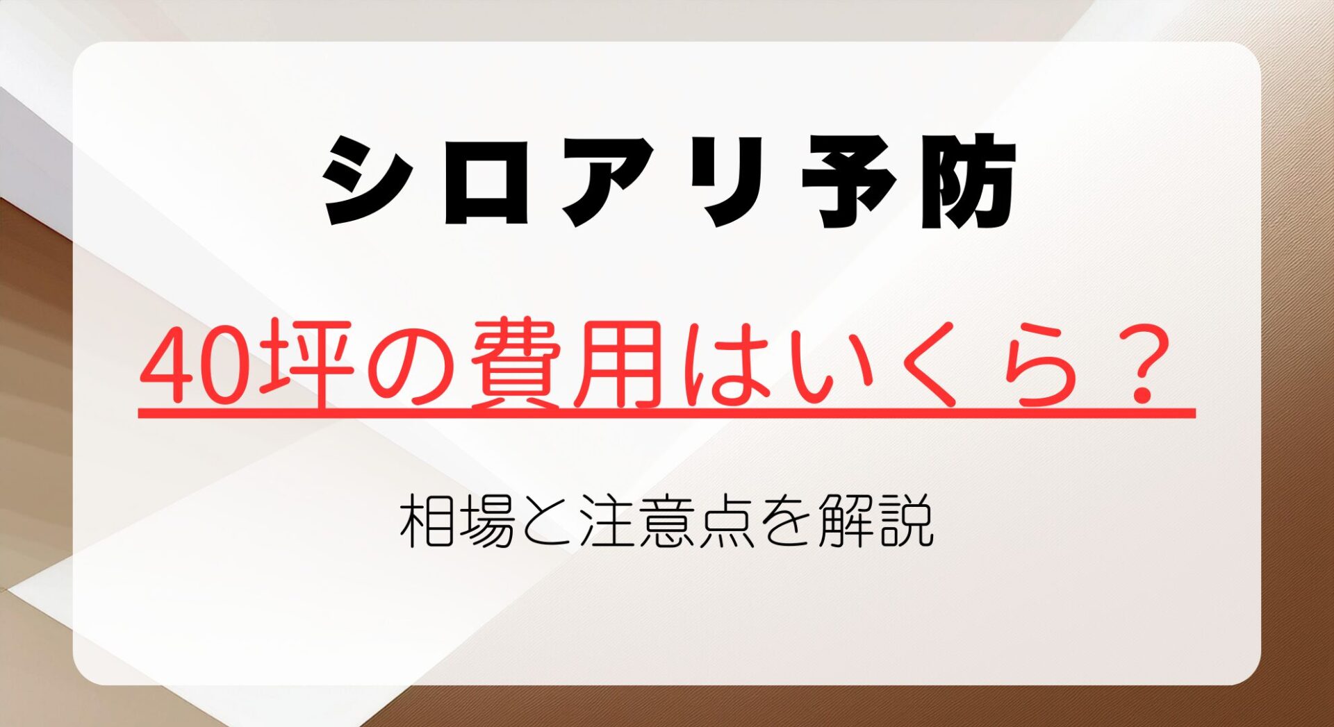 40坪のシロアリ予防費用はどれくらい？相場と注意点を解説