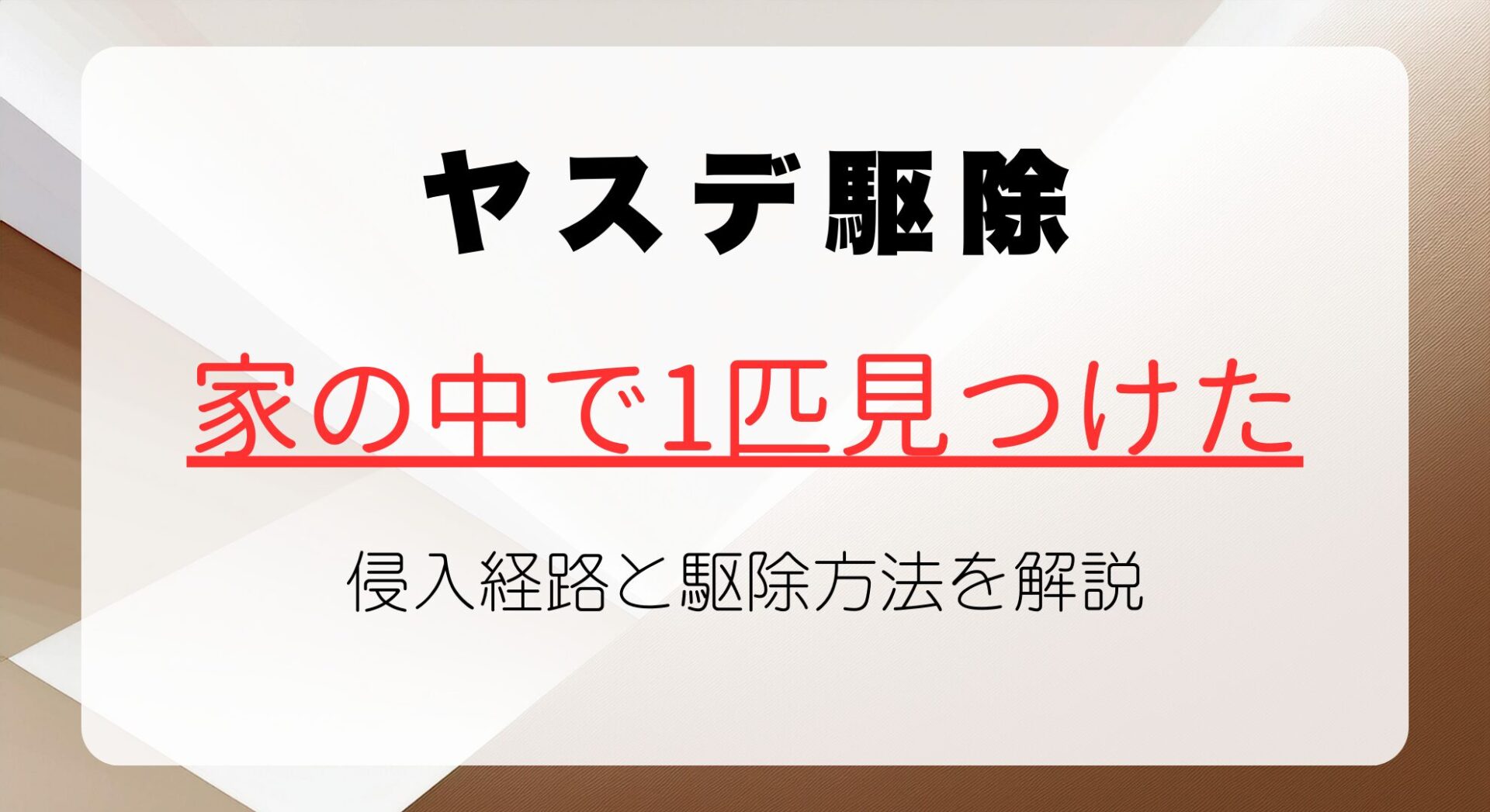 ヤスデが家の中に1匹いる時の対策と駆除方法を解説