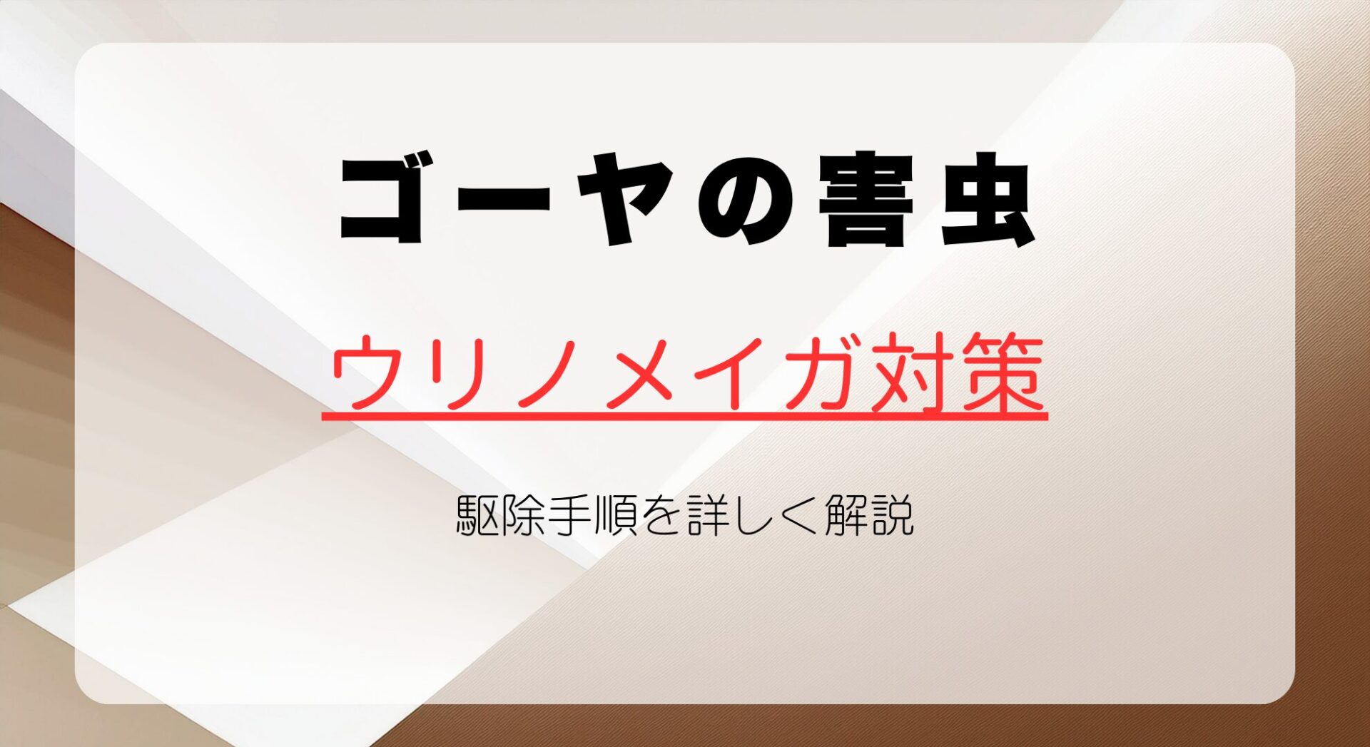 ゴーヤの害虫ウリノメイガ対策と駆除手順を詳しく解説