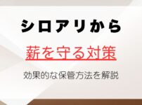 シロアリから薪を守るための対策と効果的な保管方法