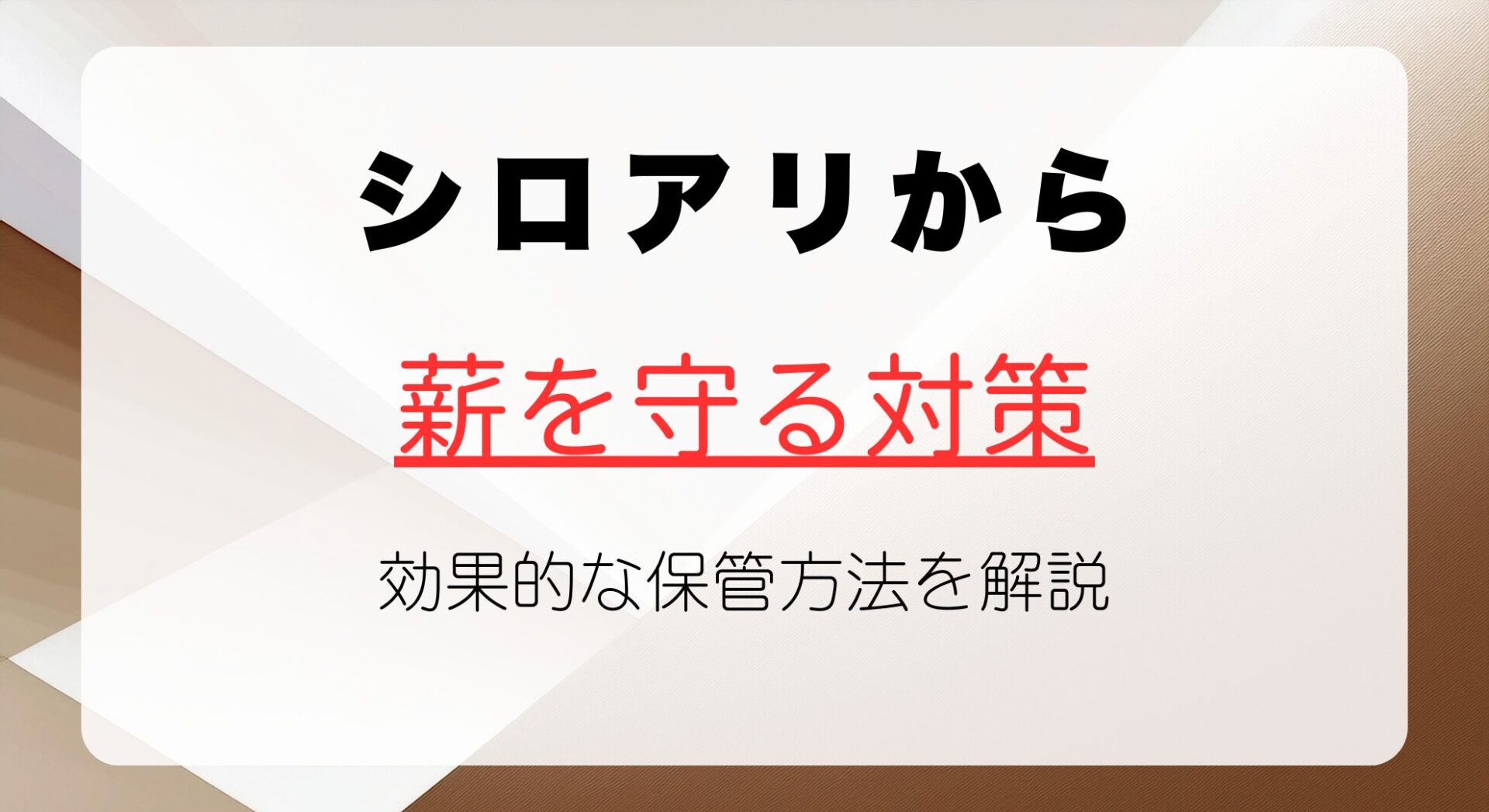 シロアリから薪を守るための対策と効果的な保管方法