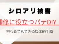 シロアリ被害の補修に役立つパテDIY！初心者でもできる具体的手順