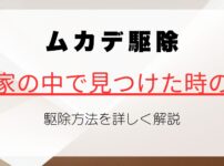 ムカデを家の中で一匹見つけたときのリスクと駆除法