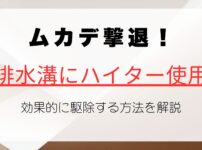 ムカデ撃退！排水溝にハイターを使って効果的に駆除する方法