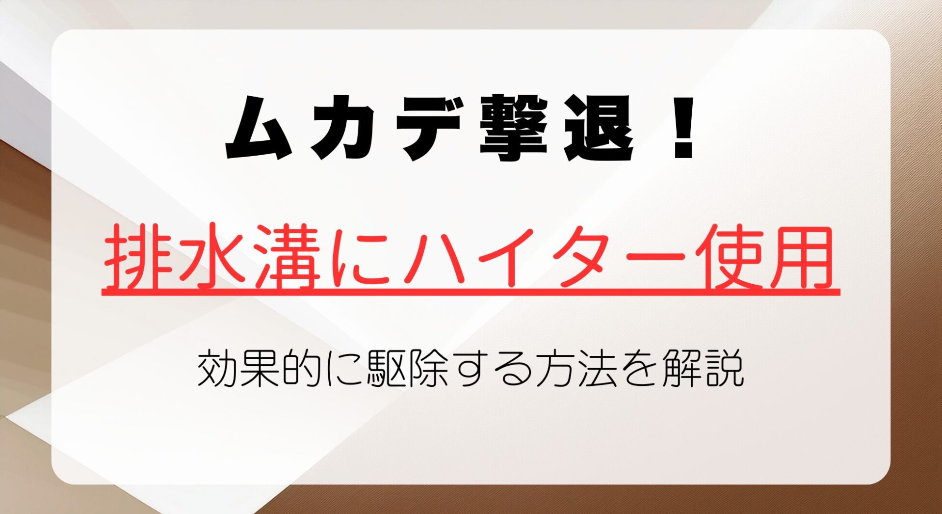 ムカデ撃退！排水溝にハイターを使って効果的に駆除する方法