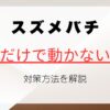 スズメバチが一匹動かない理由と適切な対策方法を解説